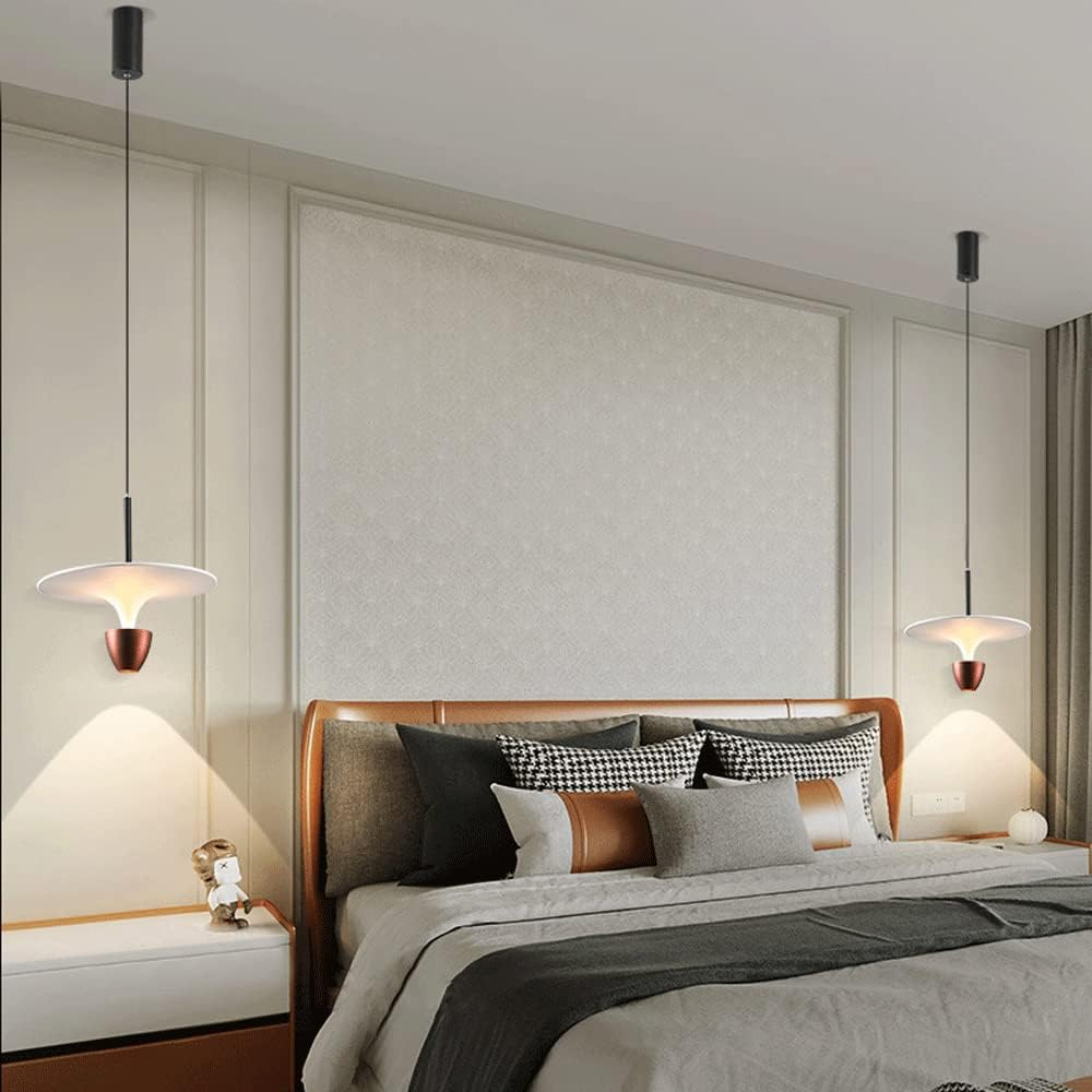 The Luminous Pendant Light