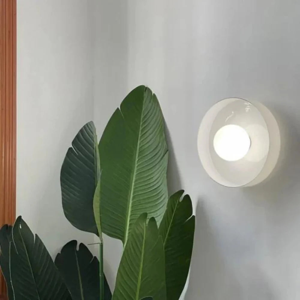 Nordic Glass Olive Disc Wall and Ceiling Light