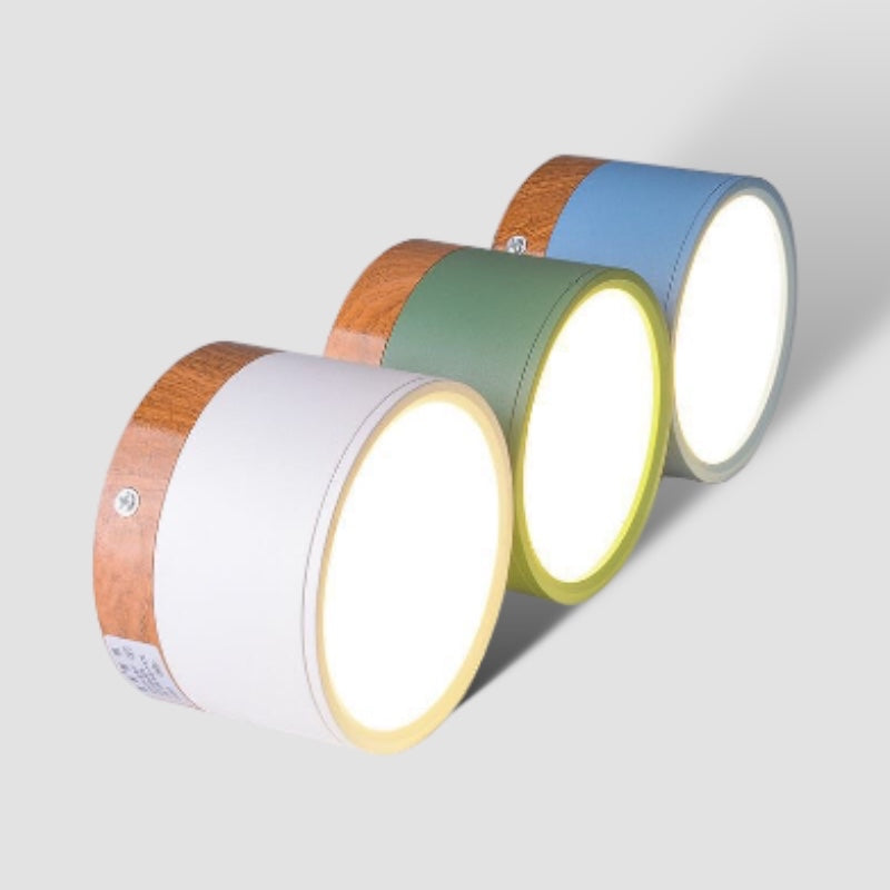 Led Nordic Modern Ceiling Light