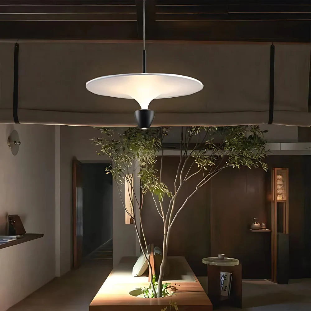 The Luminous Pendant Light