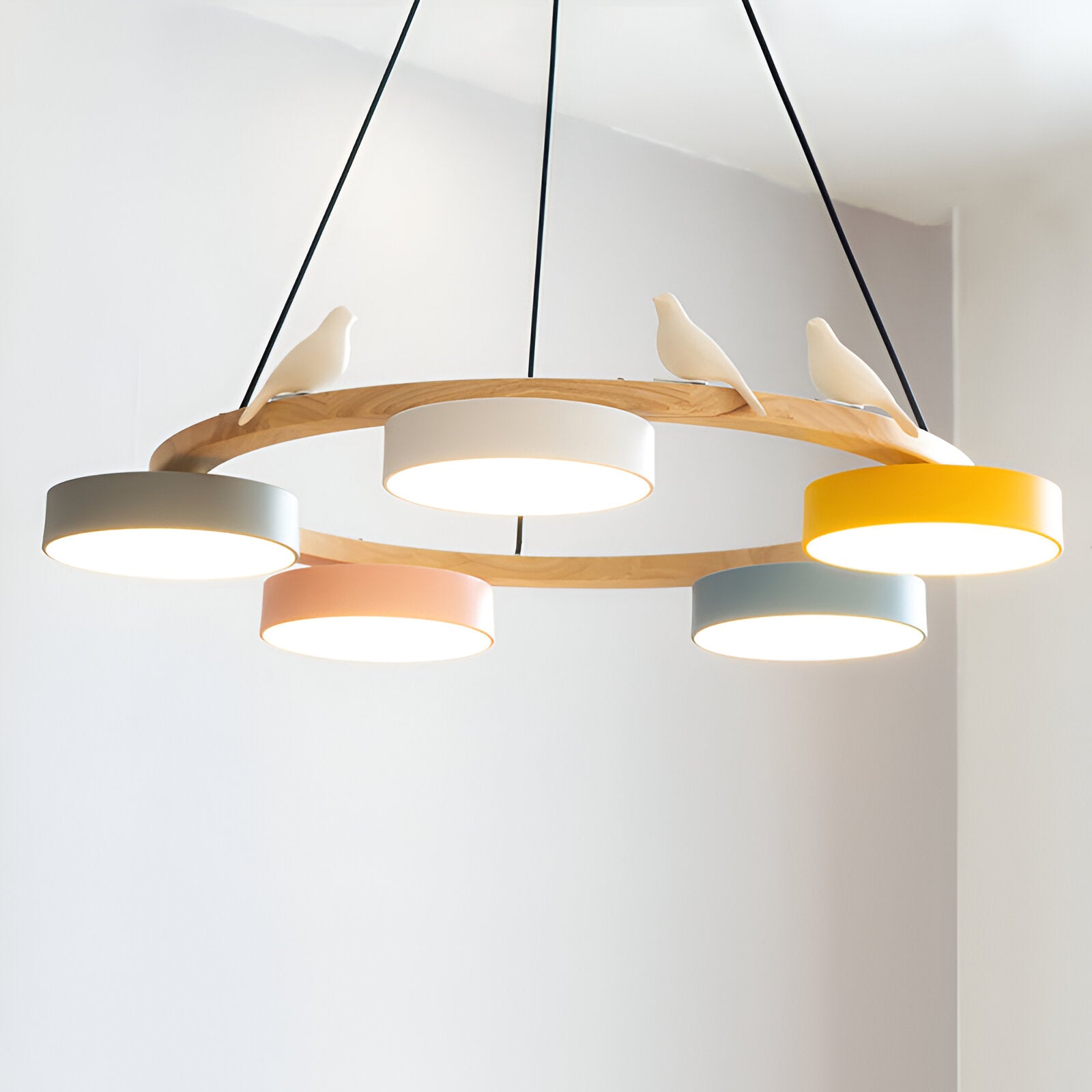 Sienna Nordic Acrylic Bird Round Pendant Light