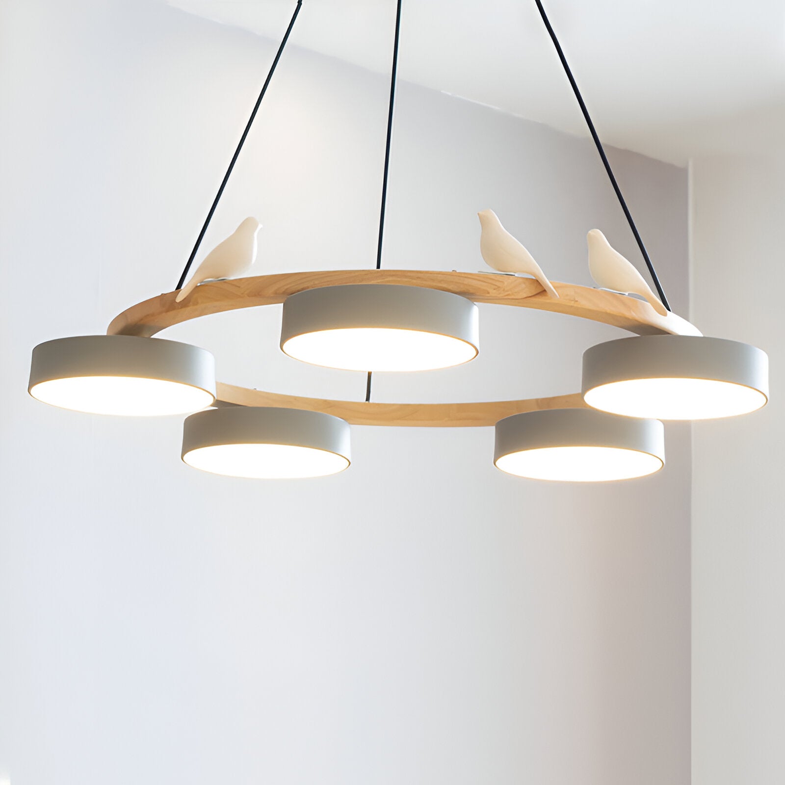 Sienna Nordic Acrylic Bird Round Pendant Light