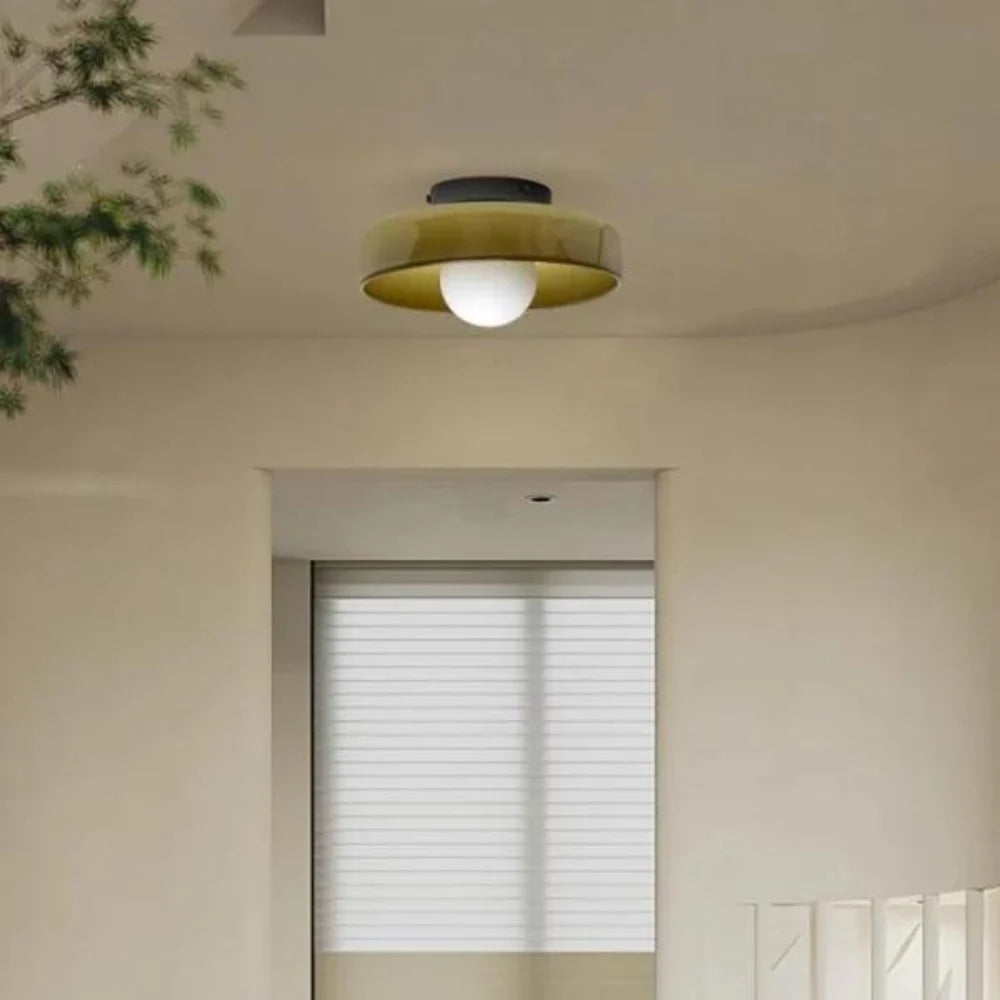 Nordic Glass Olive Disc Wall and Ceiling Light