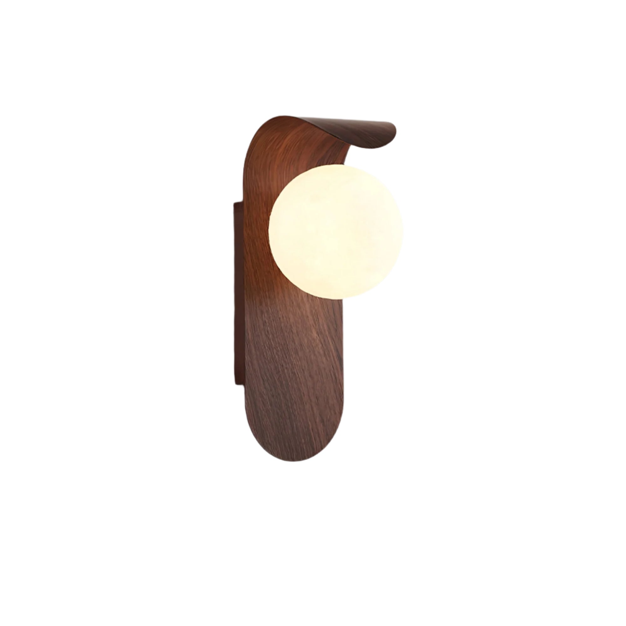 Carlyle Nordic Minimalist Iron Wood Accent LED Wall Light