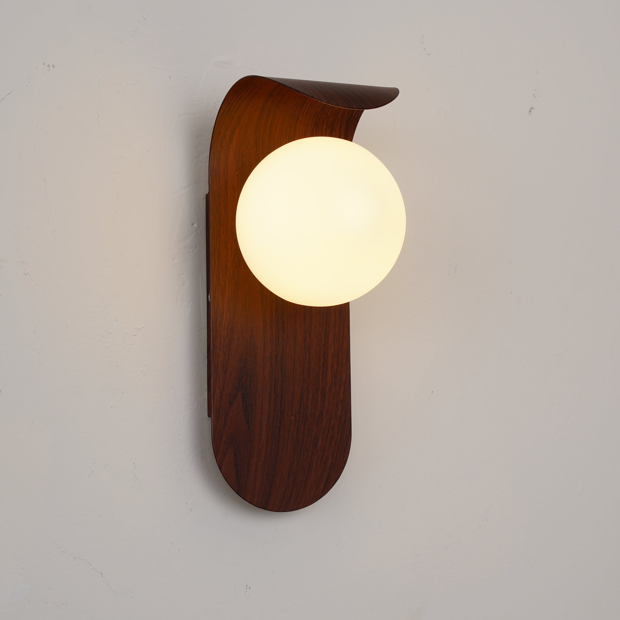 Carlyle Nordic Minimalist Iron Wood Accent LED Wall Light