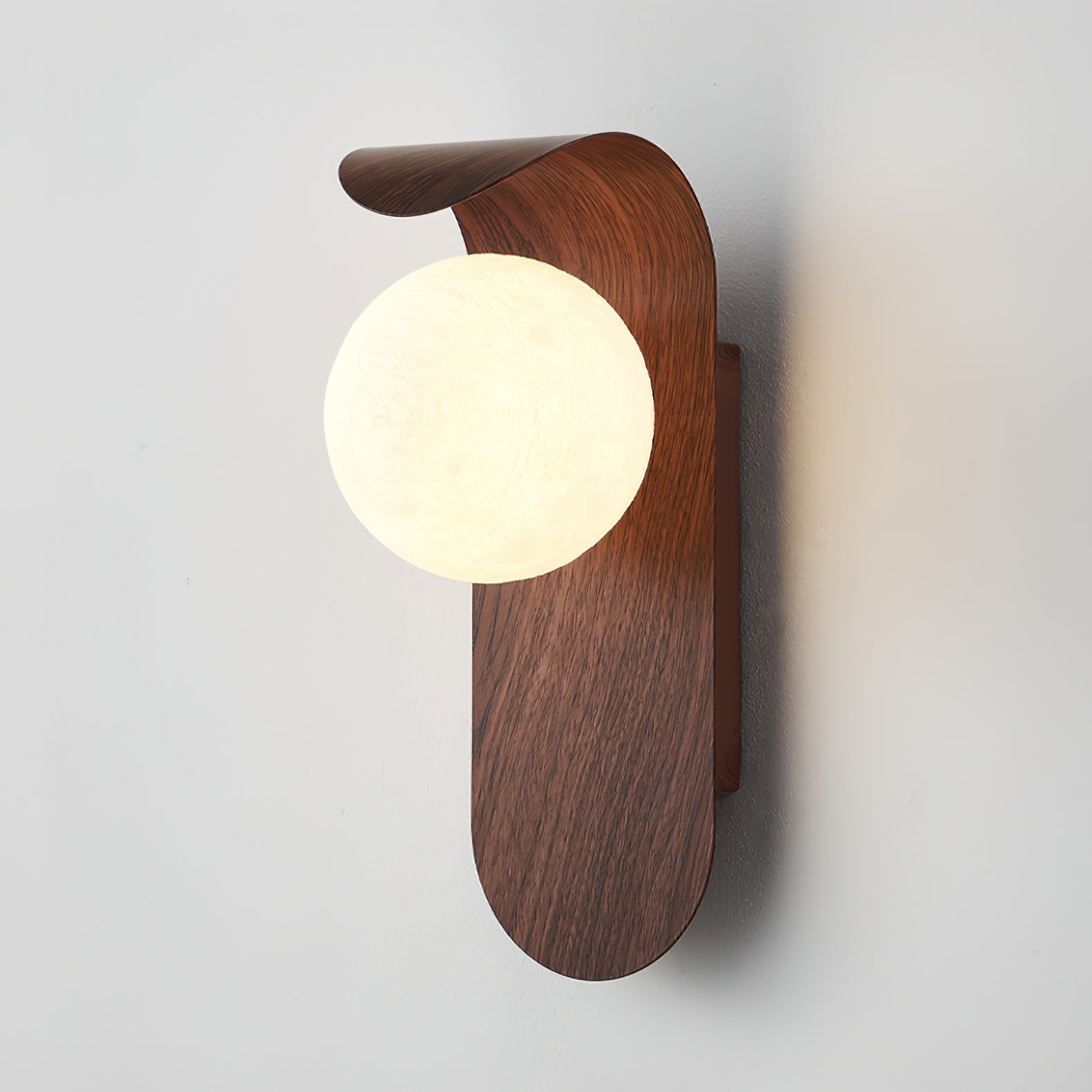 Carlyle Nordic Minimalist Iron Wood Accent LED Wall Light