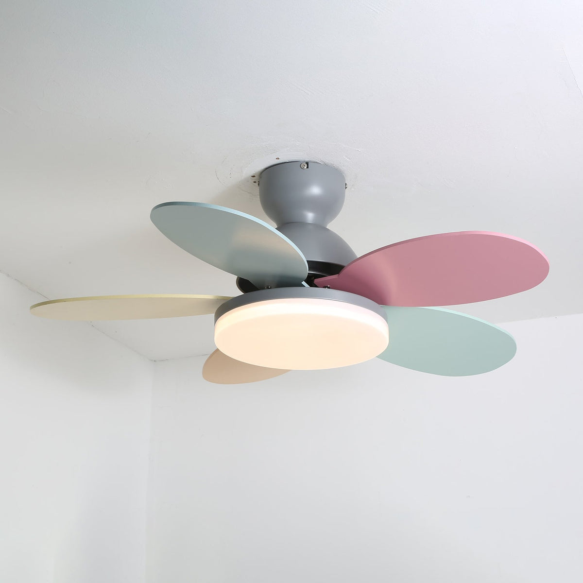 Petalo Nordic Petal-Shaped Acrylic Ceiling Fan Light