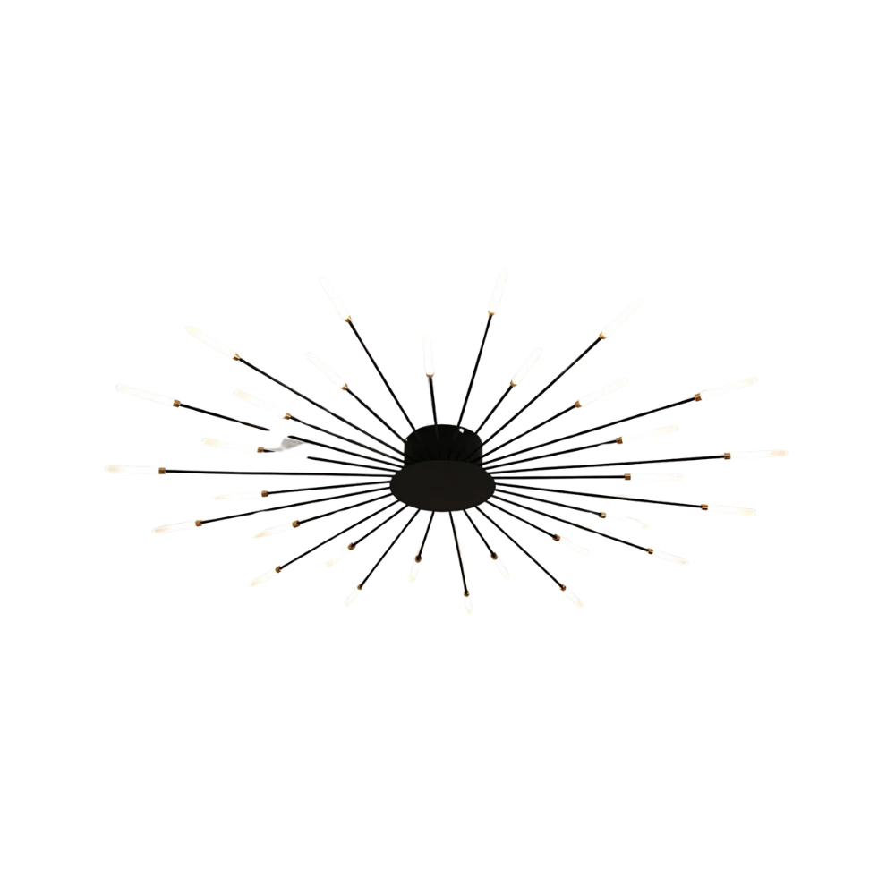 The Fireworks Ceiling Light