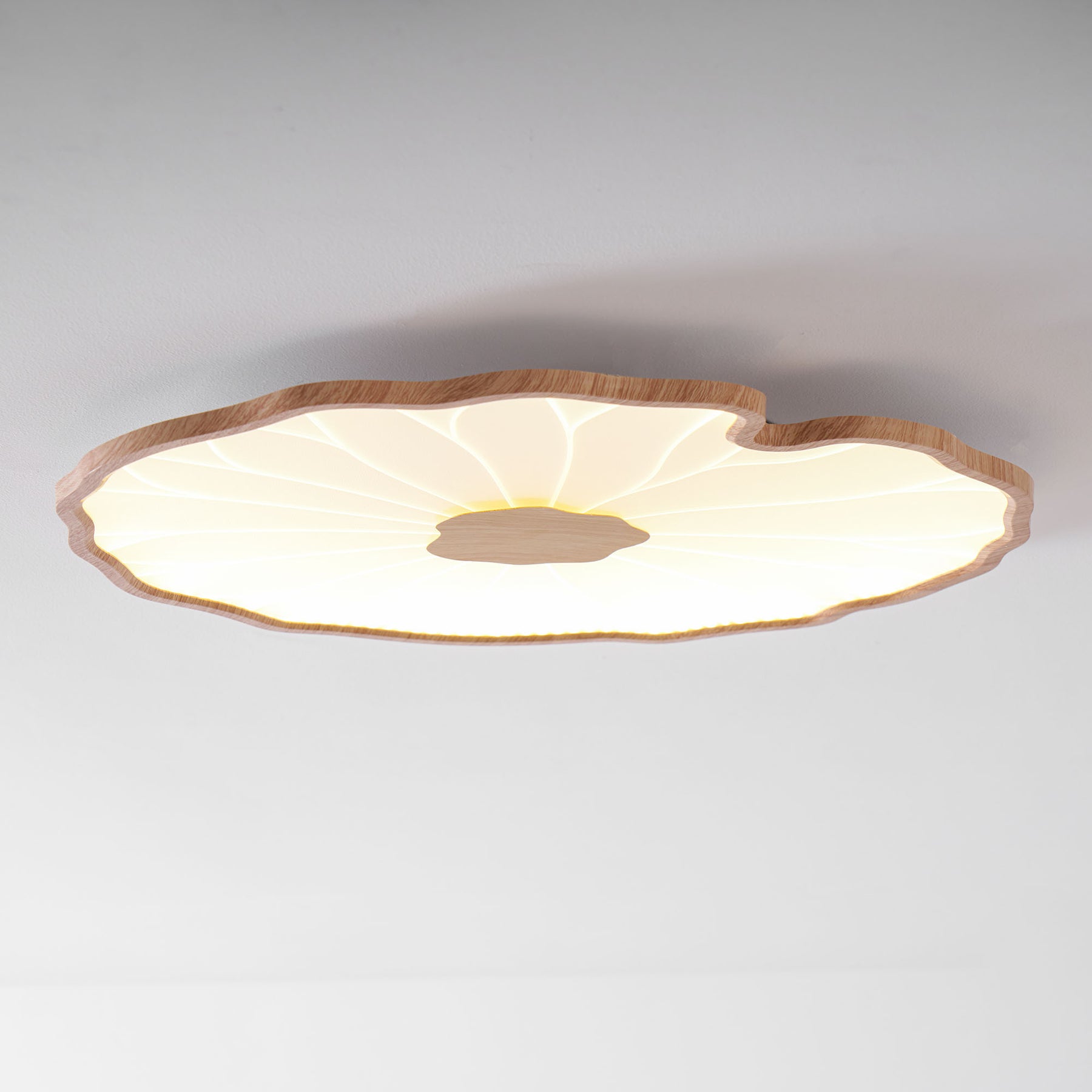 Nerea Lotus Modern Acrylic Ceiling Light
