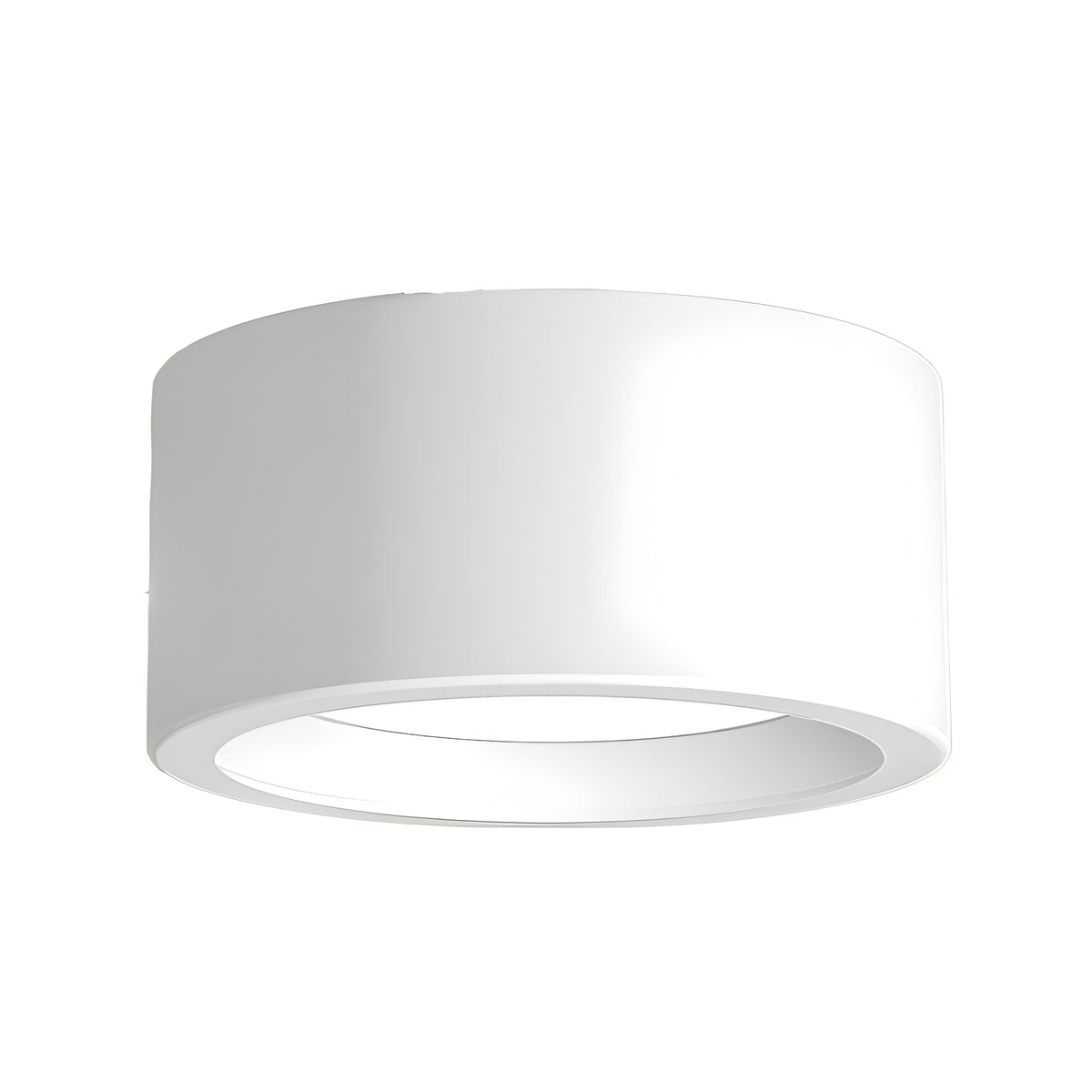 Luffon Modern Acrylic Surface Mounted LED Ceiling Light