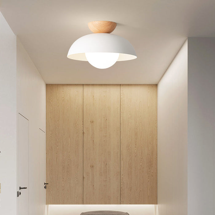 Nordic Minimalist Eco Iron Shade Ceiling Light