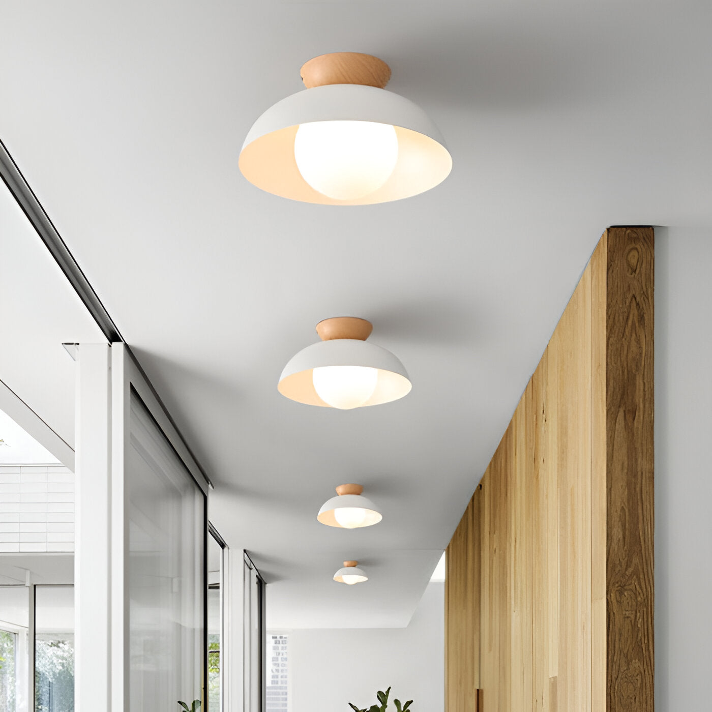 Nordic Minimalist Eco Iron Shade Ceiling Light