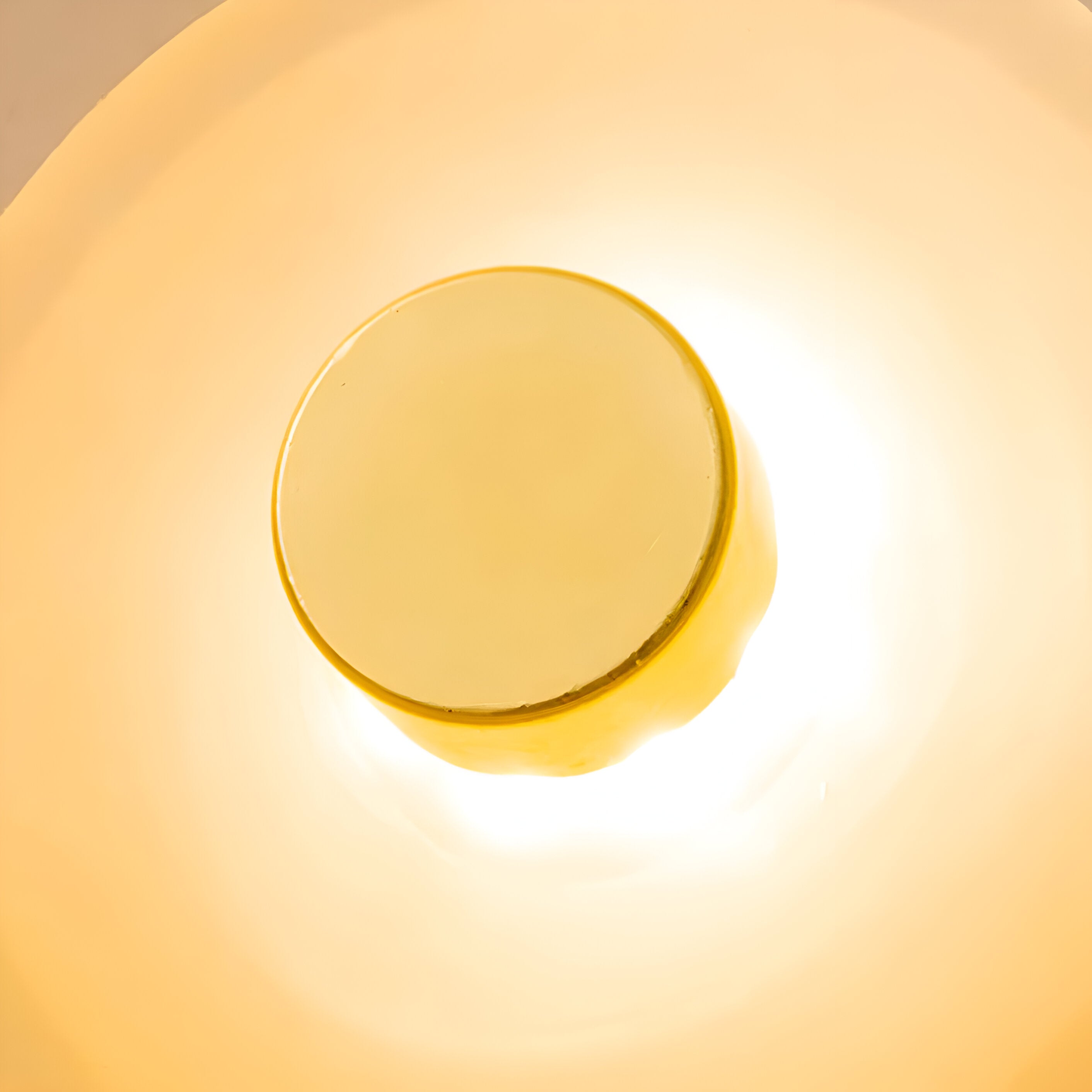 Nordic Curved Glass Japandi Style Glass LED Wall Light