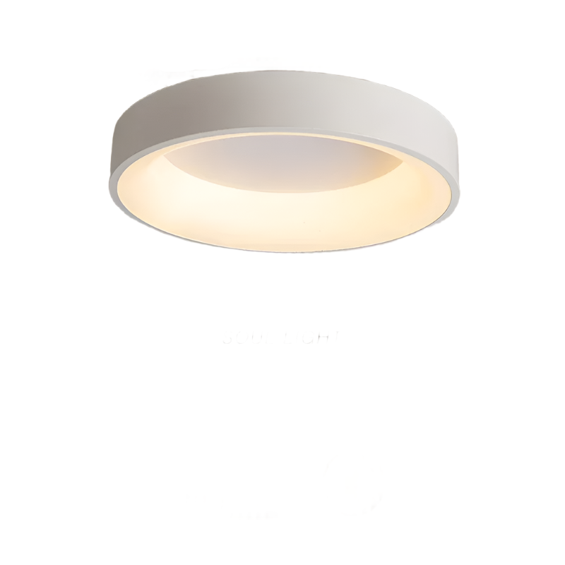 Nordic Modern Ring Shaped LED Ceiling Light