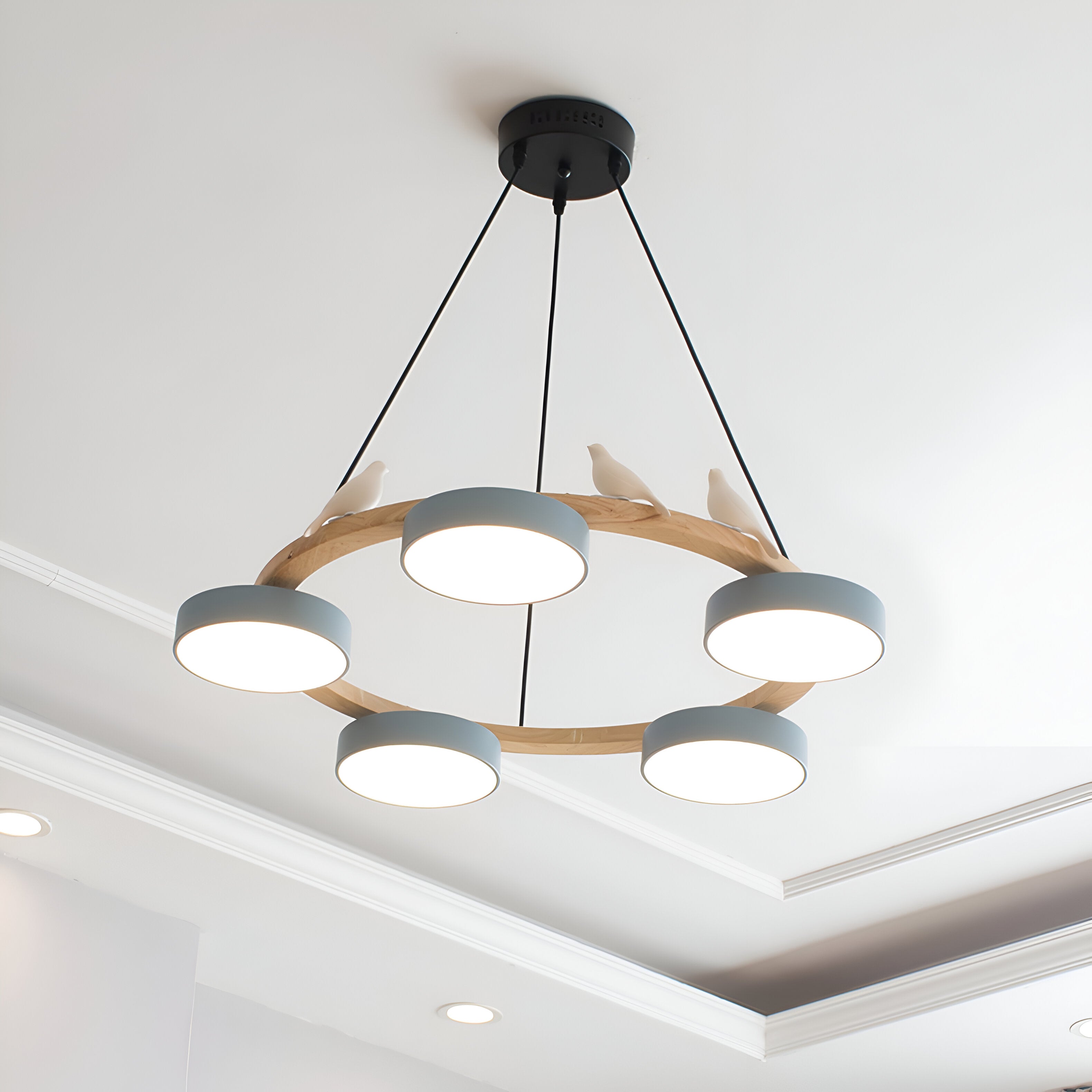 Sienna Nordic Acrylic Bird Round Pendant Light