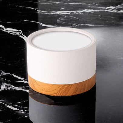 Don Nordic Modern Ceiling Light