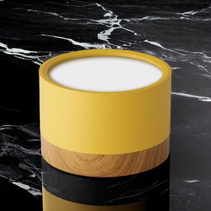 Don Nordic Modern Ceiling Light