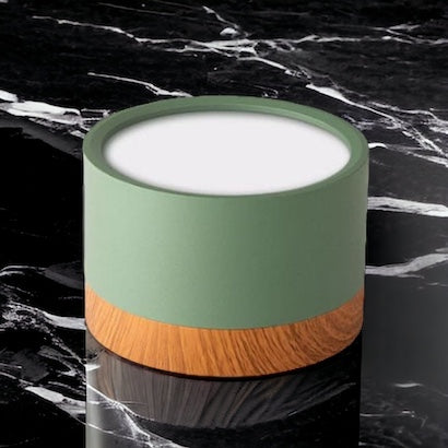 Don Nordic Modern Ceiling Light