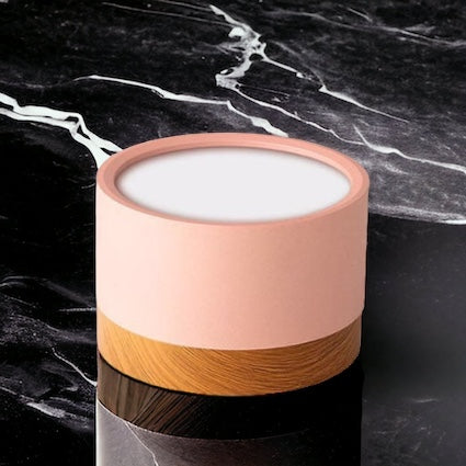 Don Nordic Modern Ceiling Light