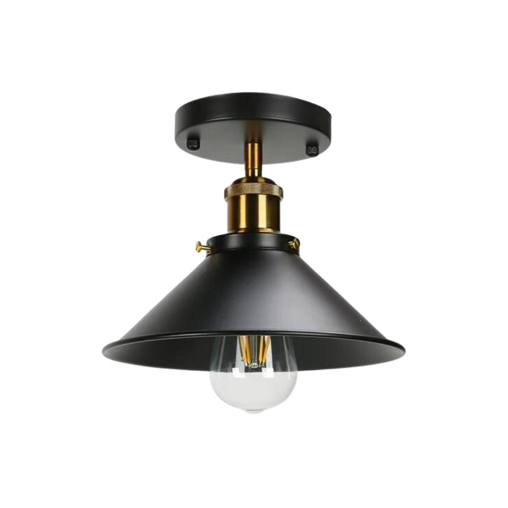 The Dark Charm Ceiling Light