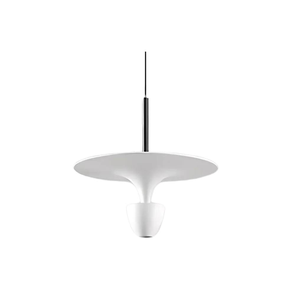 La lampe pendentif lumineuse