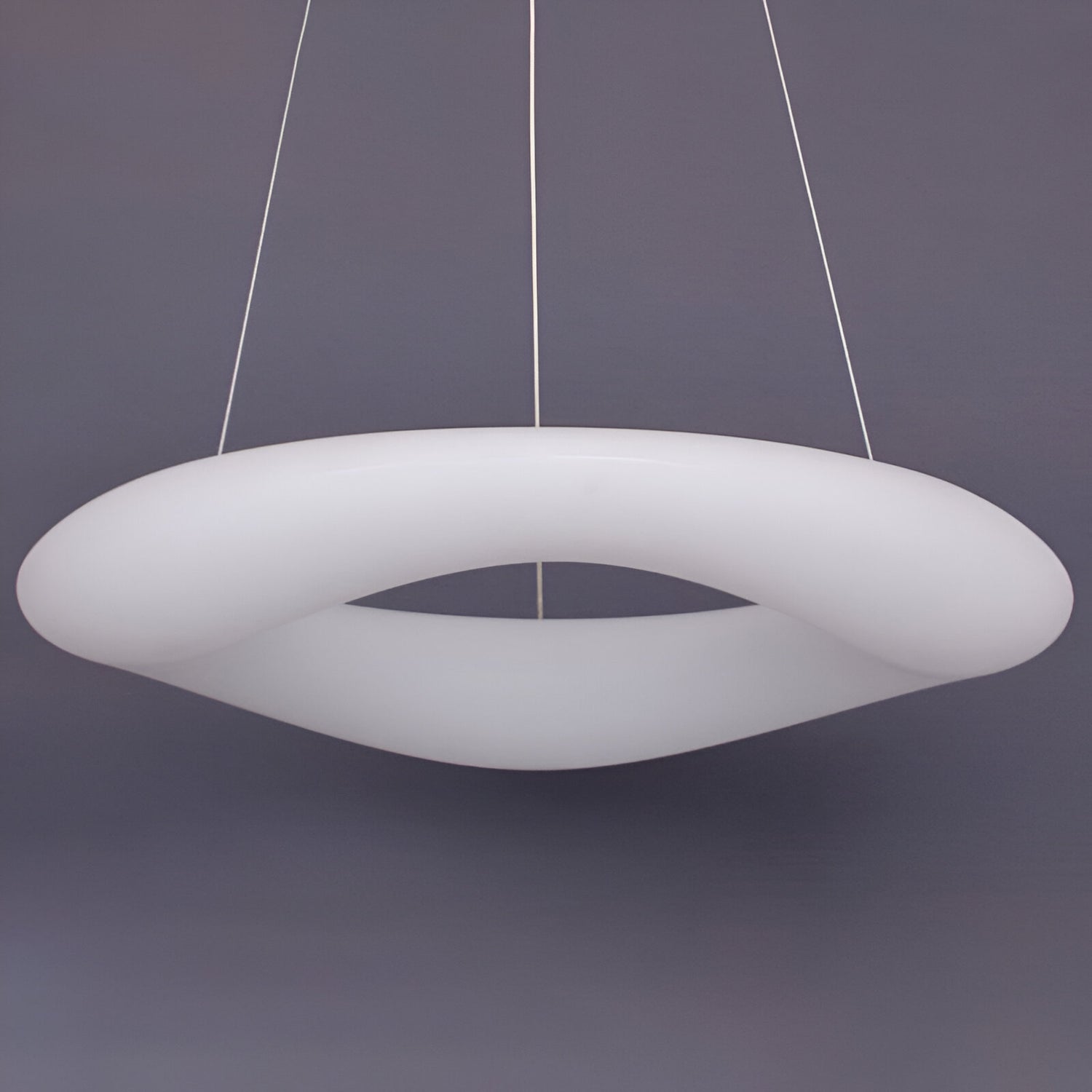 Nordic Oval Shape Stylish Pendant Lamp