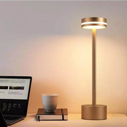 Portable Wireless Radiance Light