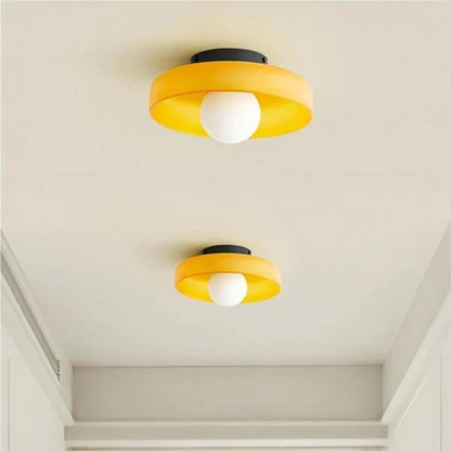 La Lampada da Parete e Soffitto Olive Disc