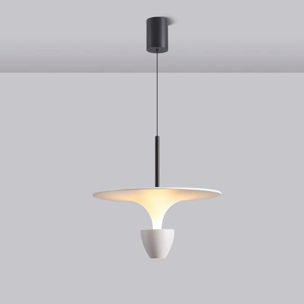 The Luminous Pendant Lamp