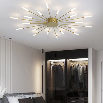 The Fireworks Ceiling Lamp