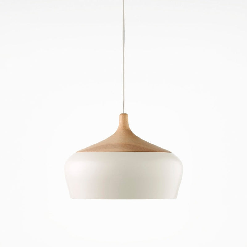 Scandinavische Creatieve Hanglamp