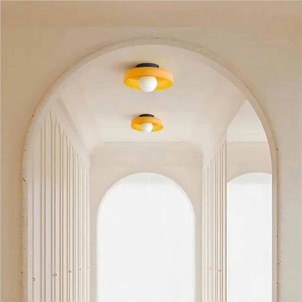 The Olive Disc Wall and Ceiling Lamp