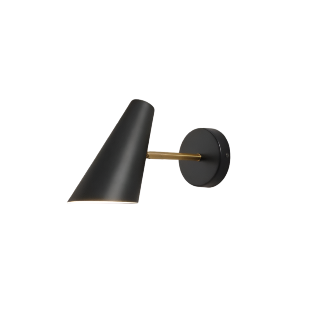 Retro Adjustable Iron Birdy Wall Light