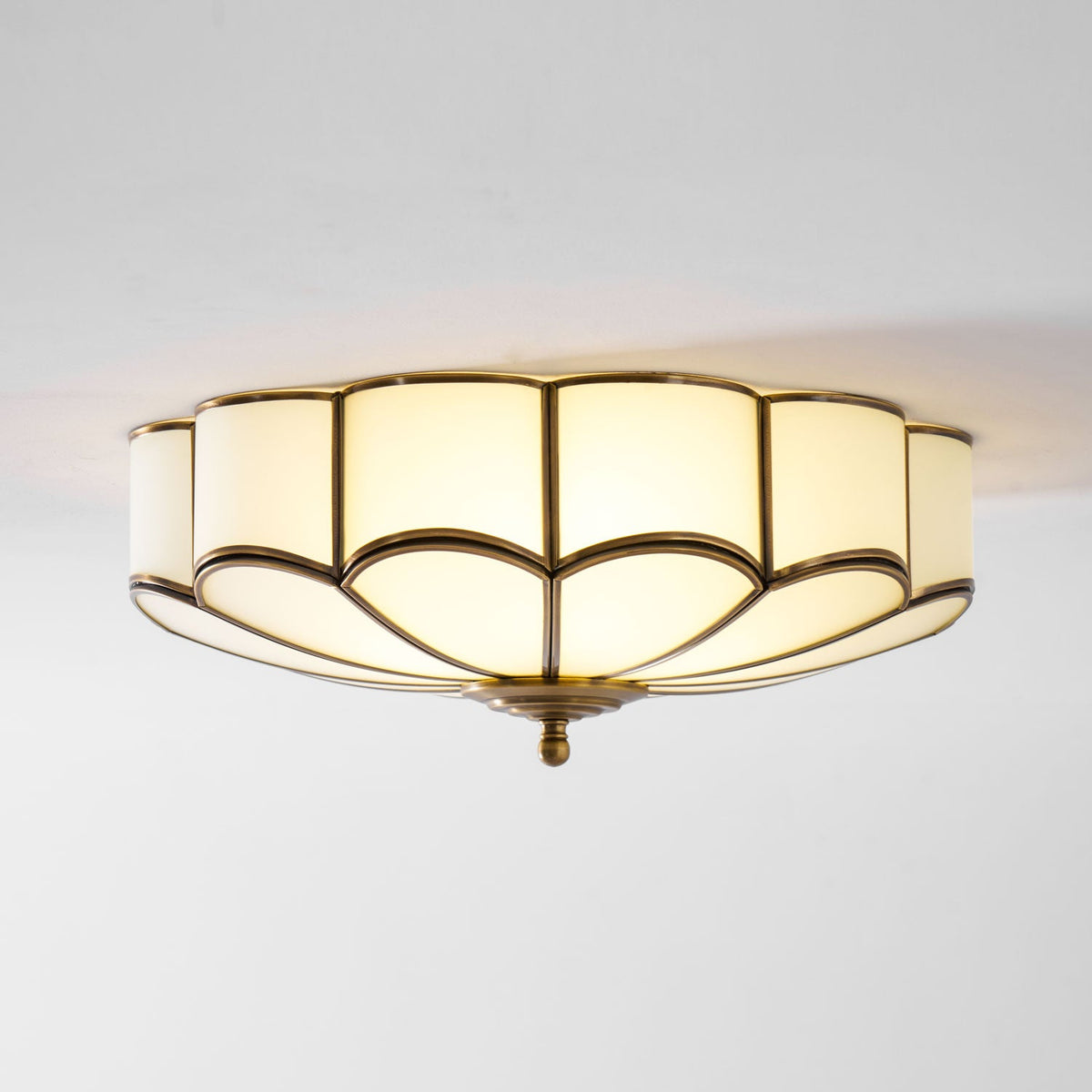 Silunavo Postmodern Flower Shape Ceiling Light