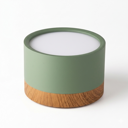 Don Nordic Modern Ceiling Light