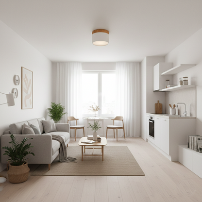 Don Nordic Modern Ceiling Light