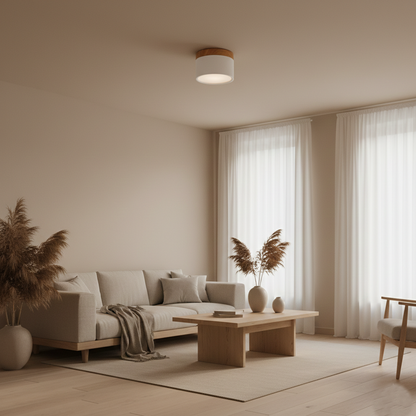 Don Nordic Modern Ceiling Light