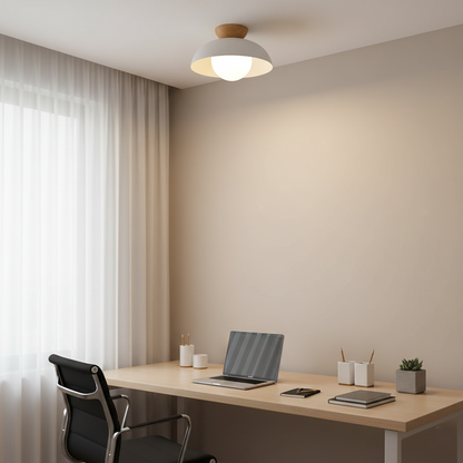 Nordic Minimalist Eco Iron Shade Ceiling Light