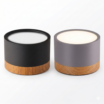Don Nordic Modern Ceiling Light
