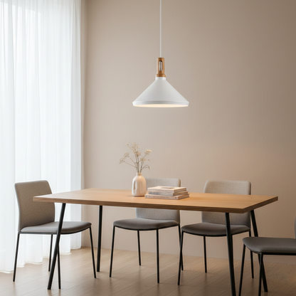 Anitra Nordic Cone Metal Pendant Light