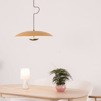 Ginger Nordic Pendant Lamp