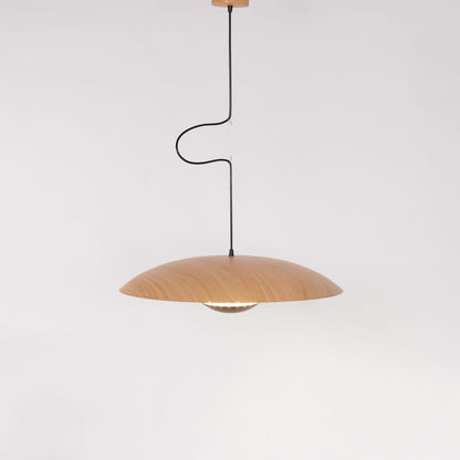 Ginger Nordic Pendant Lamp