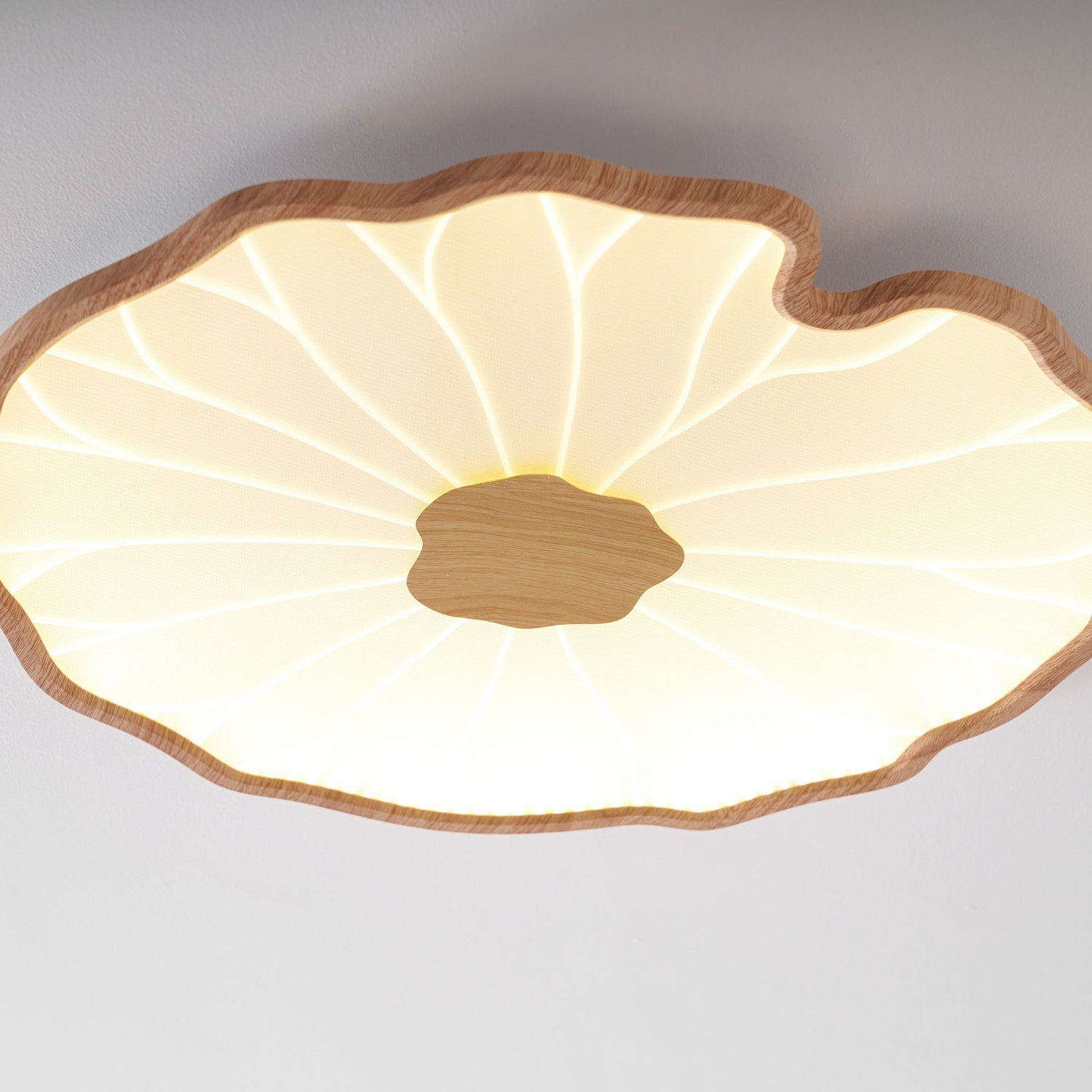 Nerea Lotus Modern Acrylic Ceiling Light