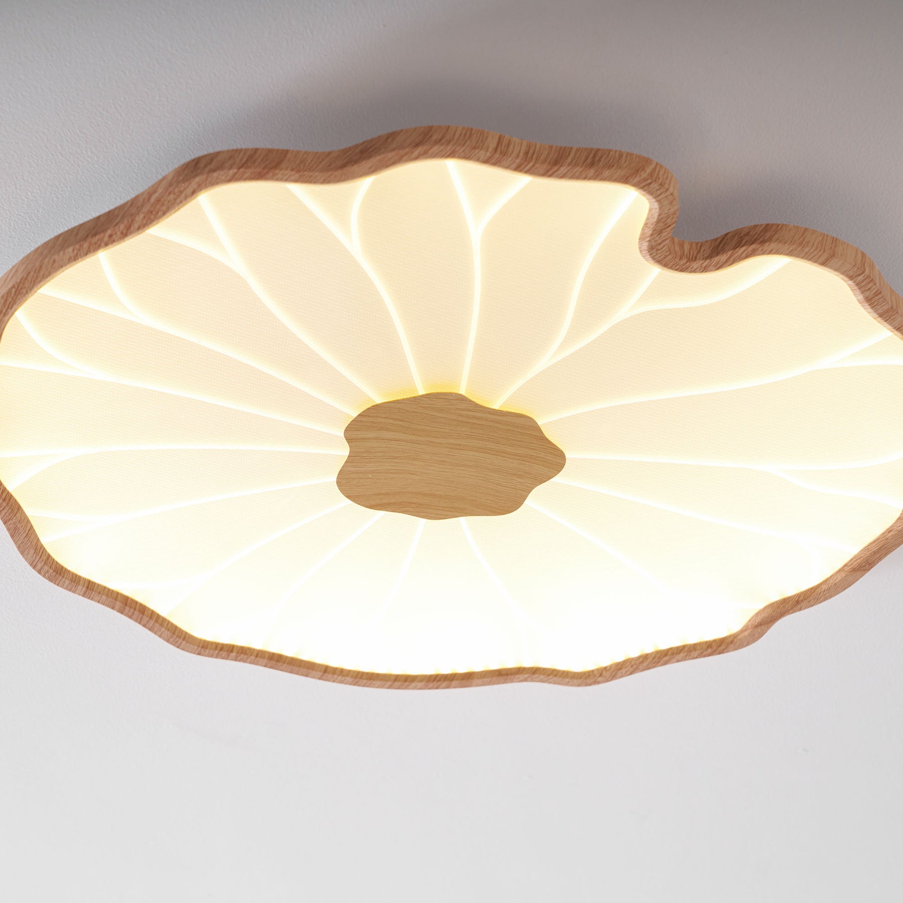 Nerea Lotus Modern Acrylic Ceiling Light