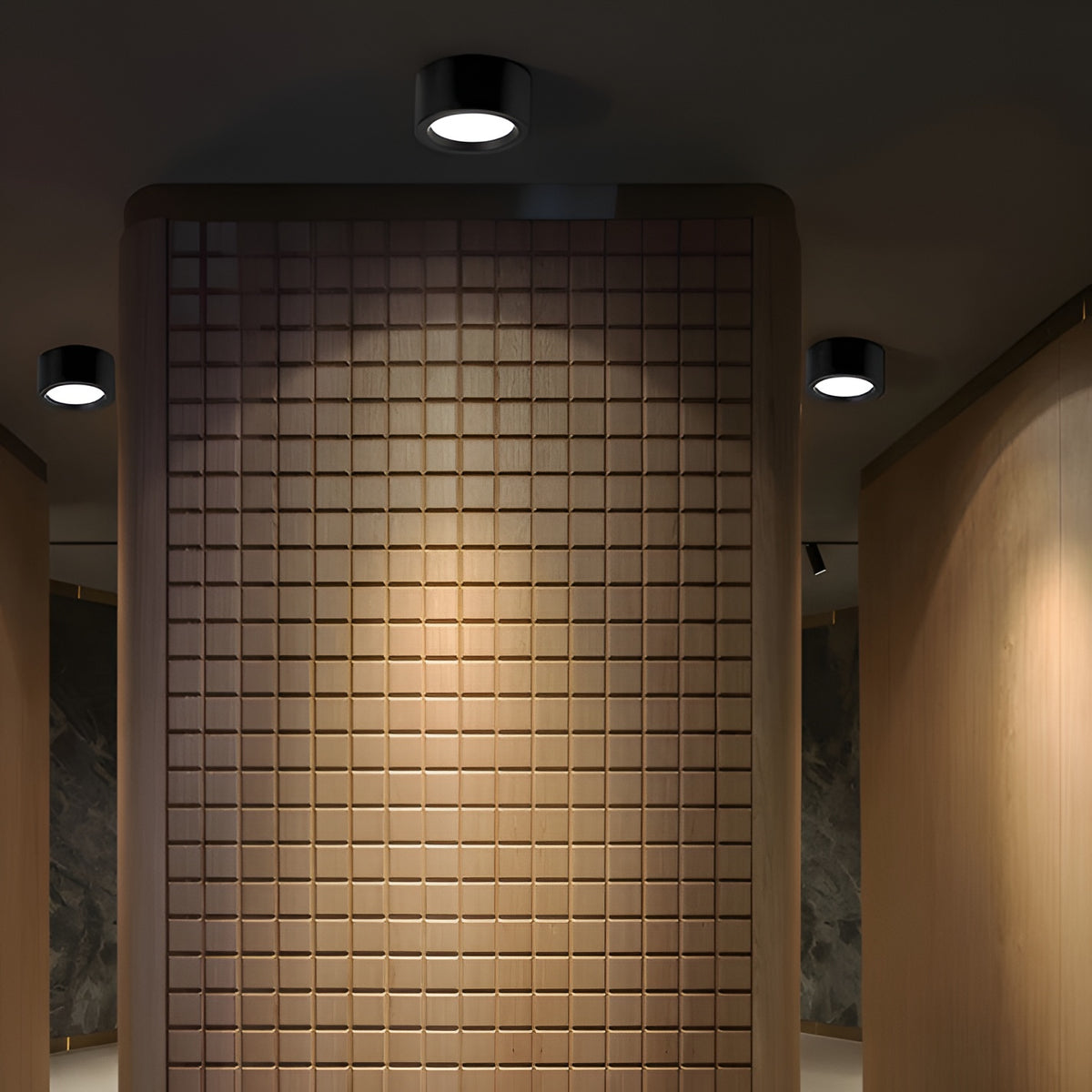 Luffon Modern Acrylic Surface Mounted LED Ceiling Light