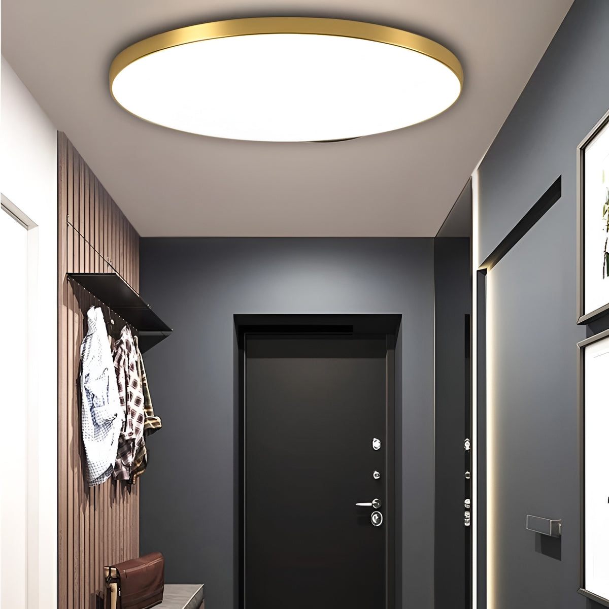 Selene Minimalist Acrylic Round LED Ceiling Light