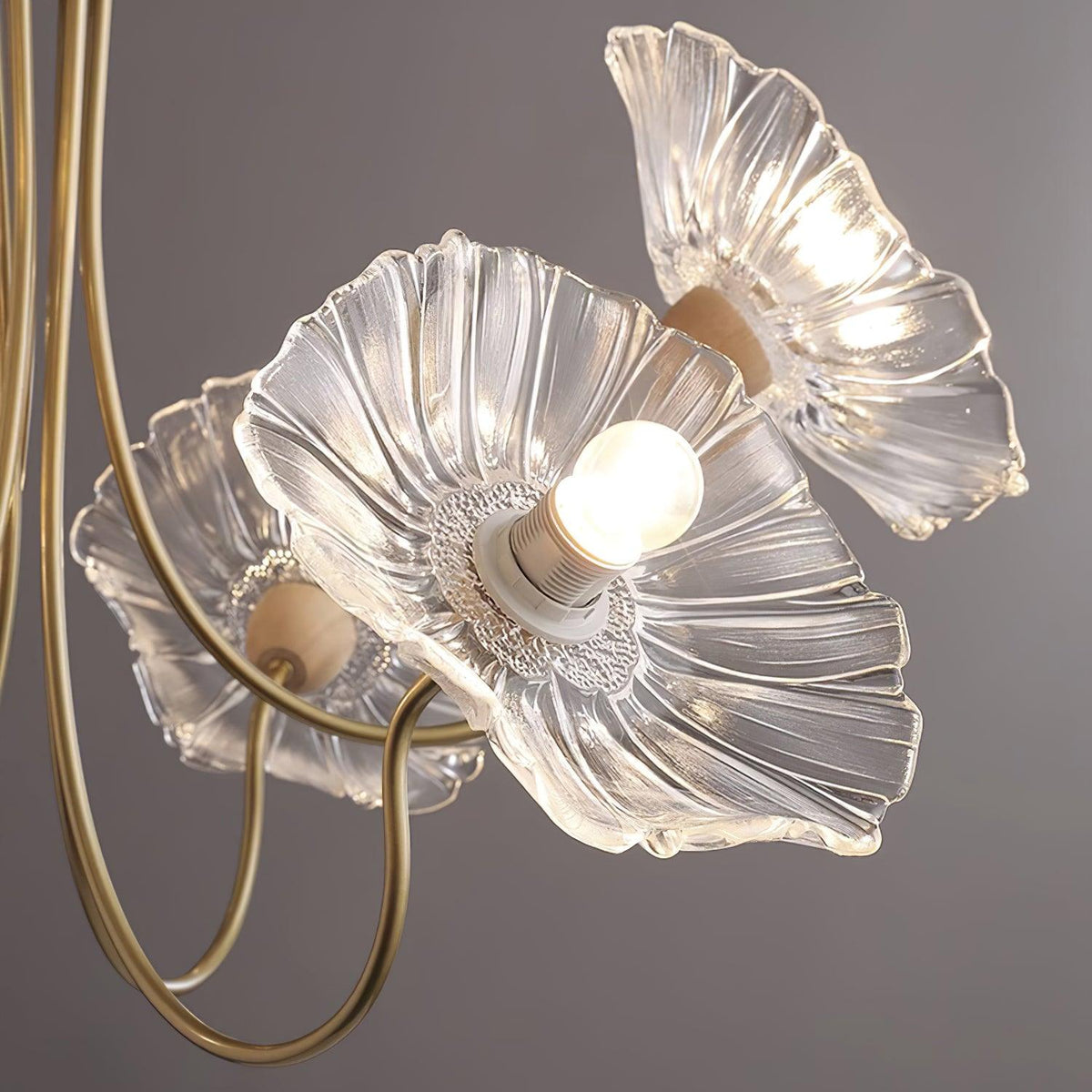 Blossom of Light Glass Chandelier