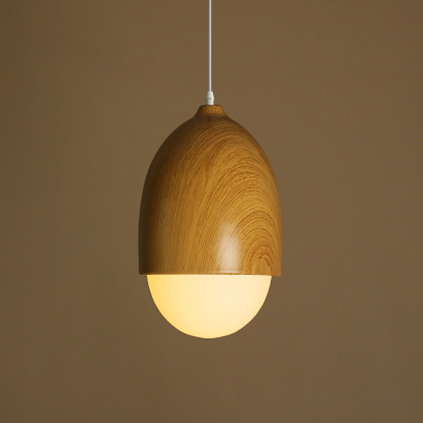 Nut Art Pendant Light