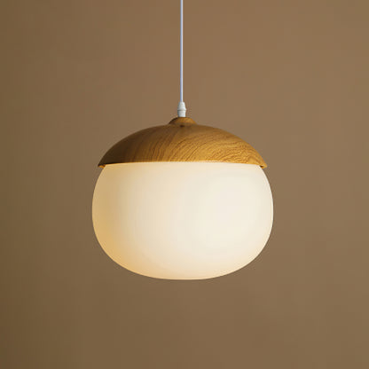 Nut Art Pendant Light