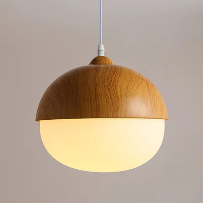 Nut Art Pendant Light